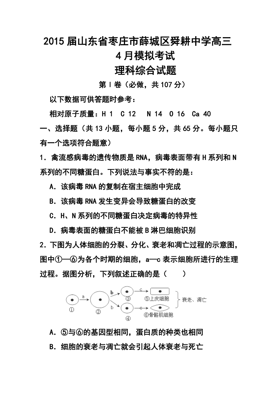 山东省枣庄市薛城区舜耕中学高三4月模拟考试理科综合试题及答案.doc_第1页