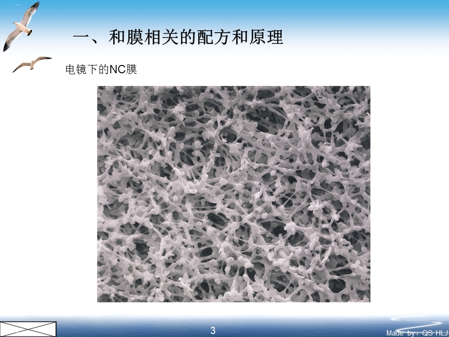 胶体金诊断试剂工艺配方原则概述课件.ppt_第3页