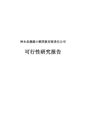 神木县德源小额贷款有限责任公司可行性研究报告.doc