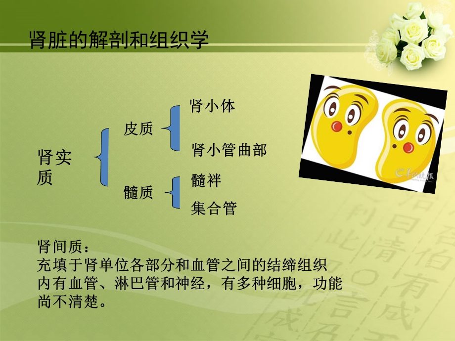 泌尿系统的护理课件.ppt_第2页