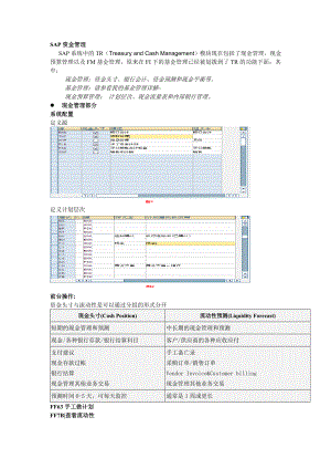 SAP方丈TR功能详解.doc