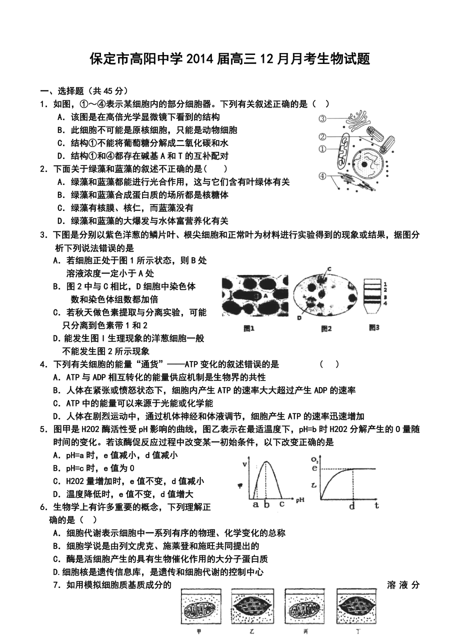 保定市高阳中学高三12月月考生物试题及答案.doc_第1页