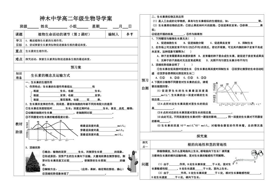 植物生命活动的调节导学案神木中学.doc_第1页