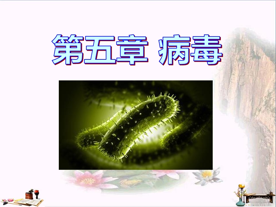 病毒-精品ppt课件.ppt_第1页