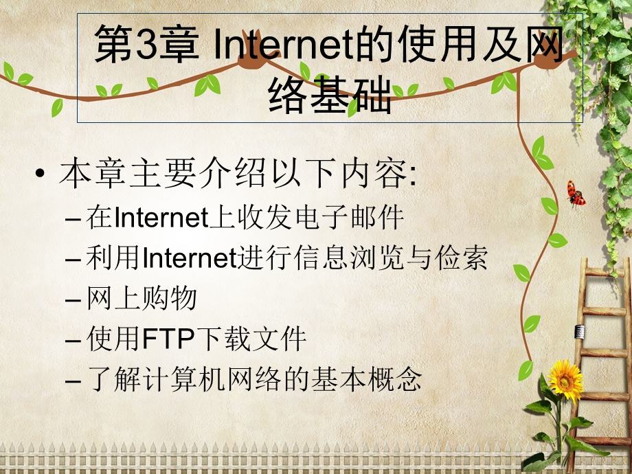 计算机公共基础2ppt课件：第3章-Internet的使用及网络基础.ppt_第1页