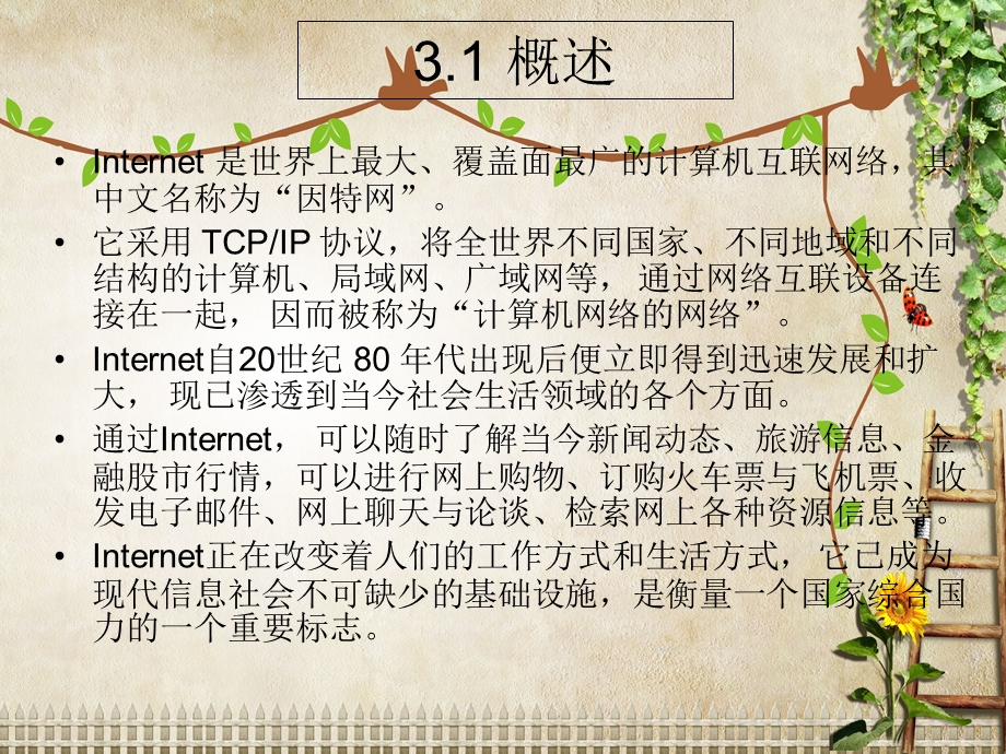 计算机公共基础2ppt课件：第3章-Internet的使用及网络基础.ppt_第2页