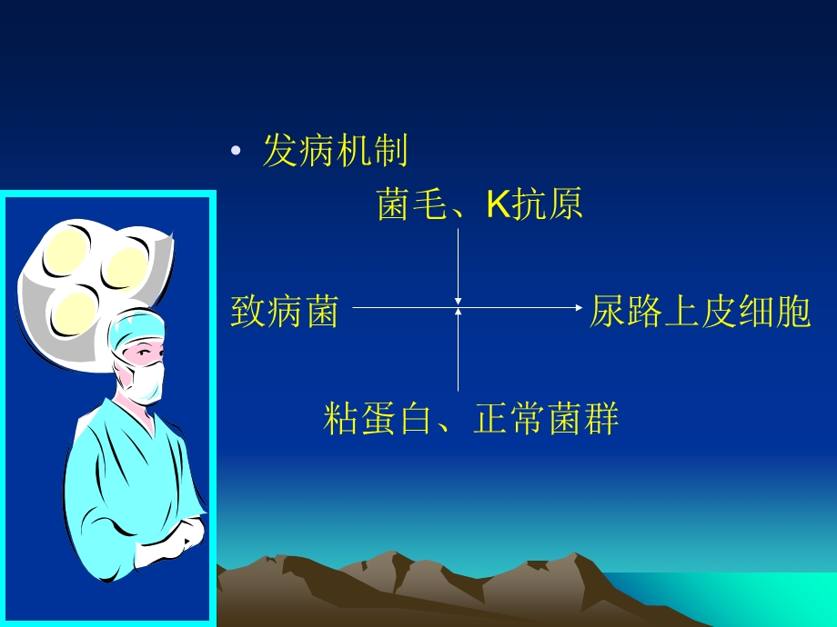 泌尿男生殖系统感染课件.ppt_第3页