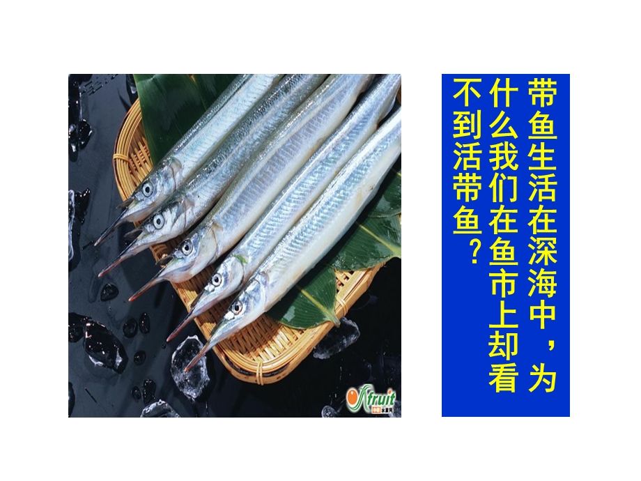 液体的压强-课件苏科版.ppt_第2页