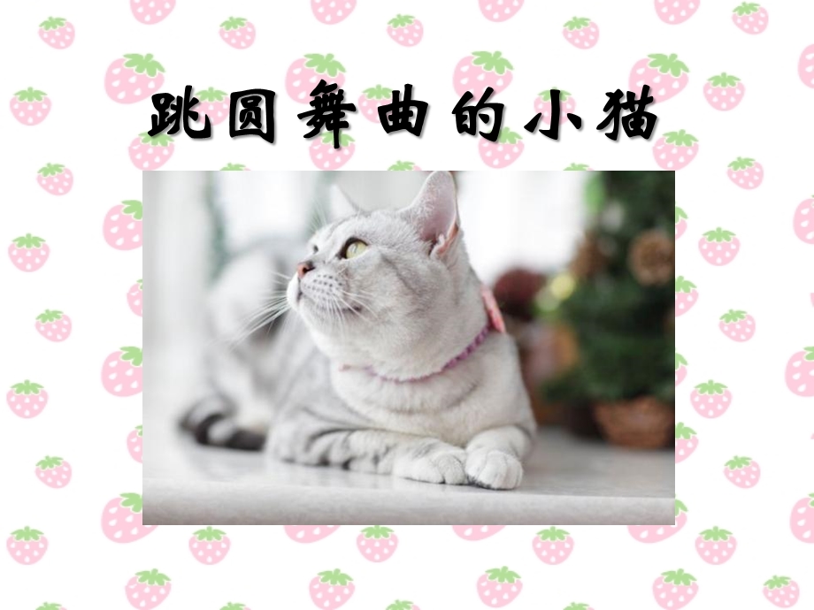 跳圆舞曲的小猫-精品教学ppt课件.ppt_第1页