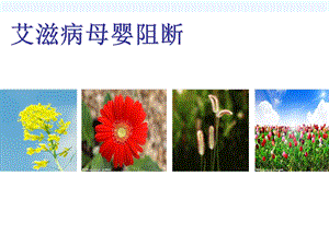 艾滋病母婴阻断课件.ppt