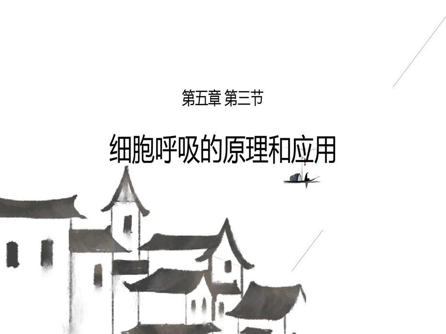 细胞呼吸的原理及应用课件.ppt_第1页