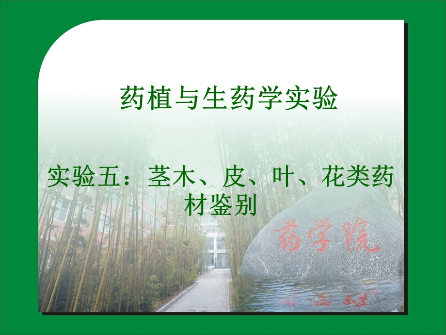 药植与生药-7-茎木课件.ppt_第1页