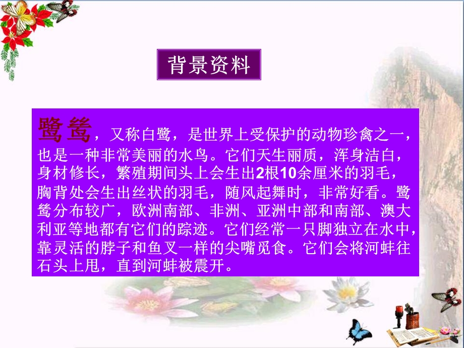 湘教版语文六下《鹭鸶》课件.ppt_第3页