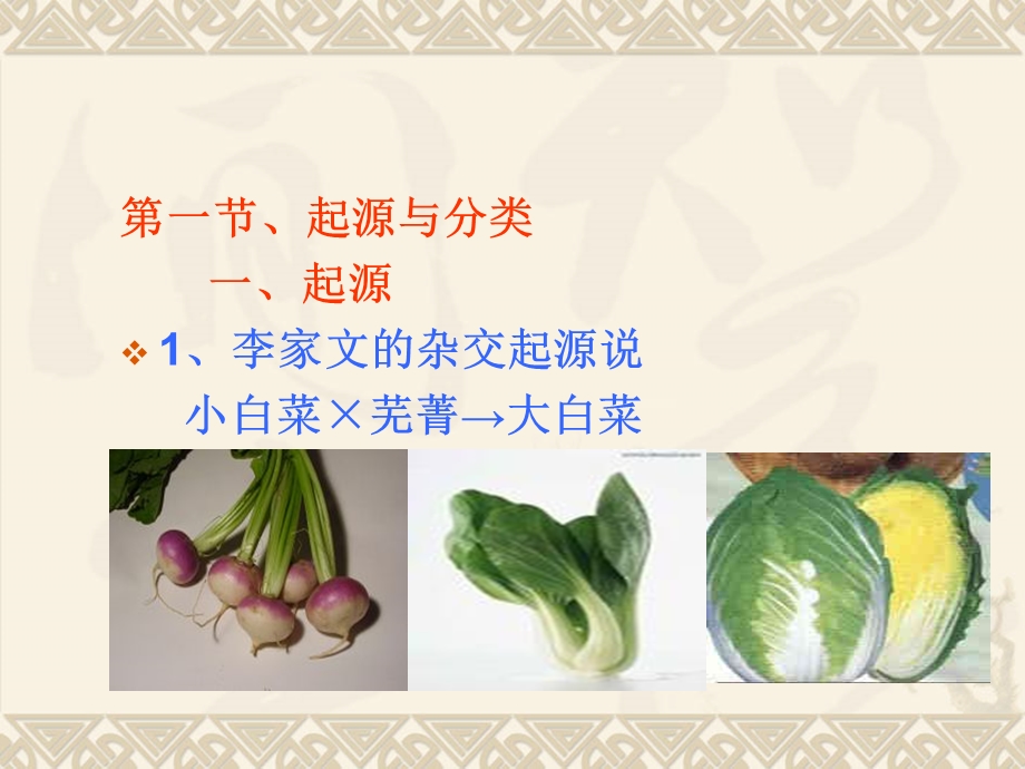 第一章、大白菜育种课件.ppt_第3页