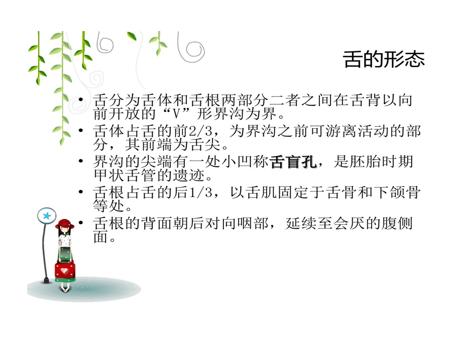 舌癌手术配合课件.ppt_第2页