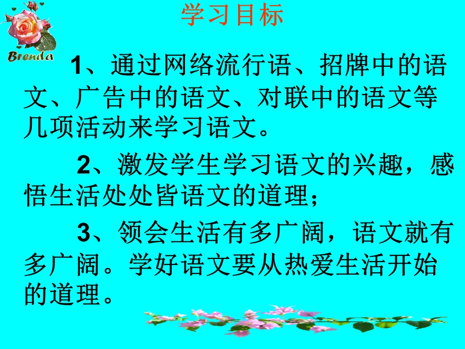 综合性学习《我的语文生活》精选教学ppt课件.ppt_第3页