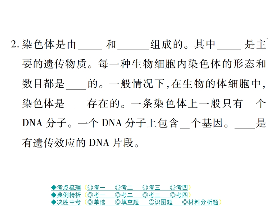 第3讲-生物的遗传和变异课件.ppt_第3页