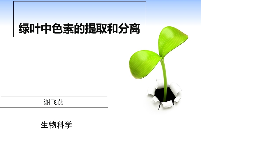 绿叶中色素的提取和分离实验的改进课件.ppt_第3页