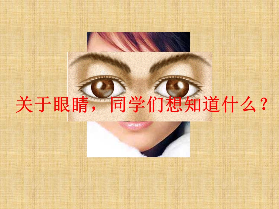 眼睛和眼镜、显微镜和望远镜-课件-人教版.ppt_第1页