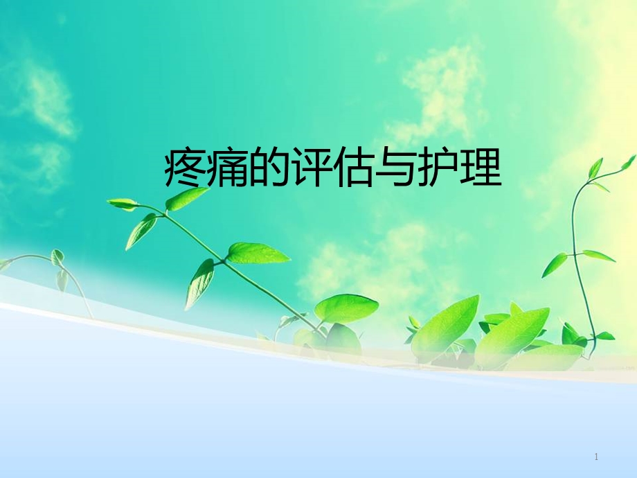 疼痛的评估与护理-课件.ppt_第1页