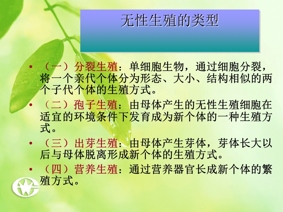 生物的无性生殖课件.ppt_第3页