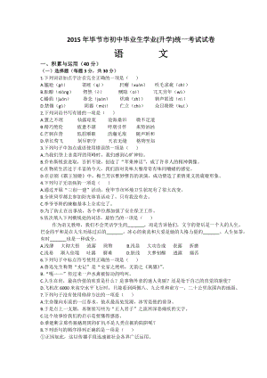 贵州省毕节市中考语文试卷及答案.doc