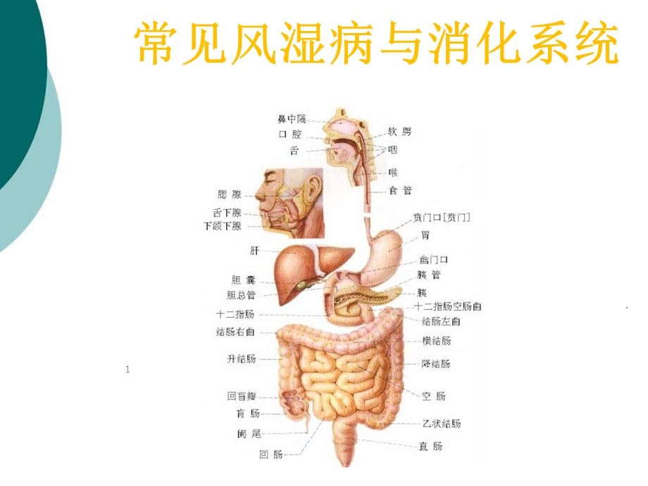 自身免疫性疾病的消化系统损害课件.ppt_第1页