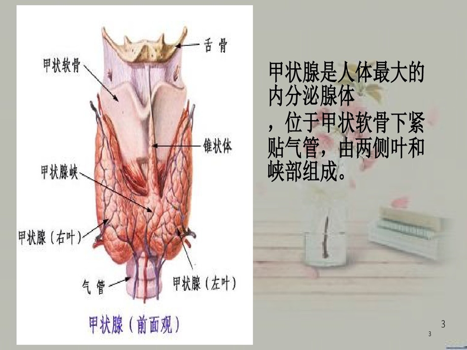 甲状腺功能亢进症病人的护理PPT演示幻灯片课件.ppt_第3页