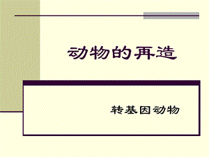 转基因荧光鱼课件.ppt