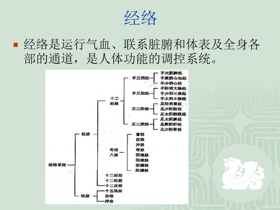 经络与穴位定位及作用-课件.ppt_第2页