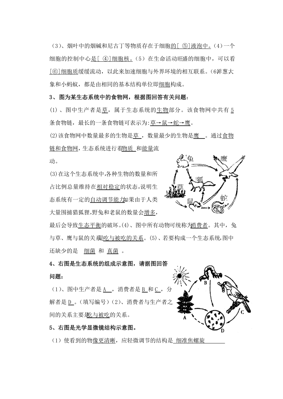 生物七级生物上册复习最新资料识图题库及答案.doc_第2页