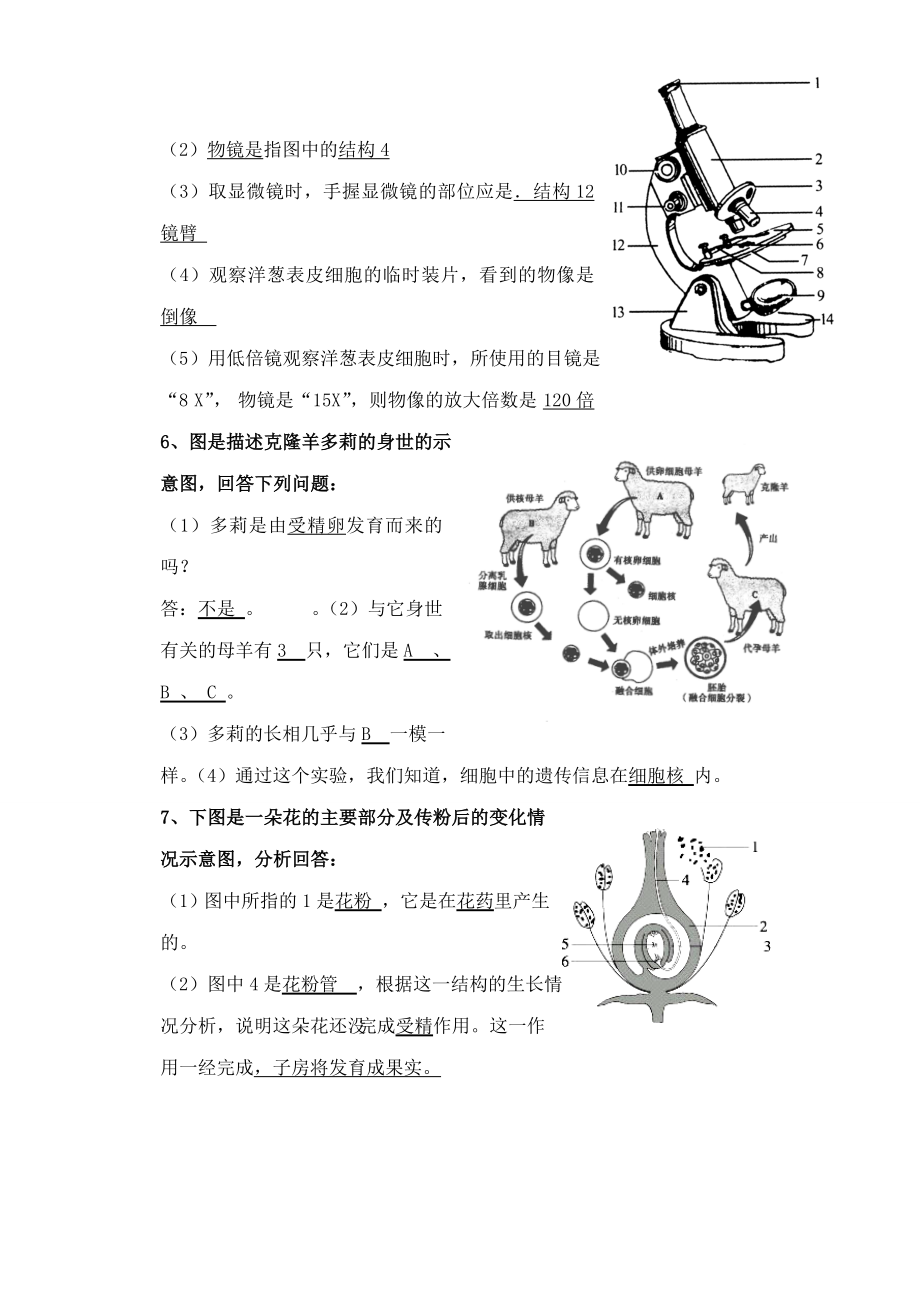 生物七级生物上册复习最新资料识图题库及答案.doc_第3页