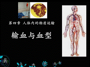 输血与血型人体内物质的运输精品教学ppt课件.ppt