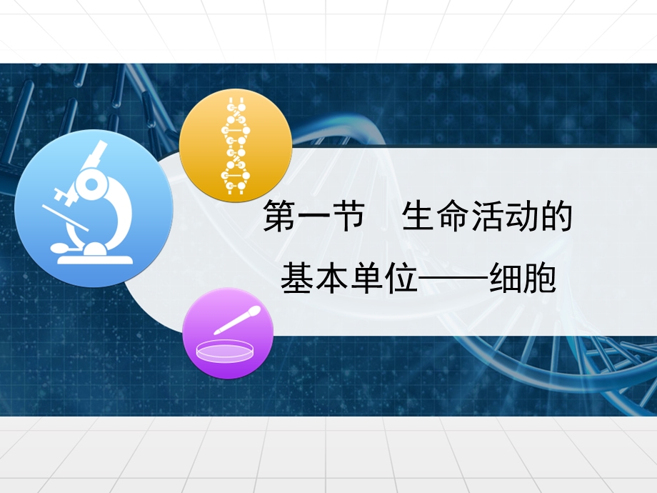 生命活动的基本单位——细胞-苏教版课件.ppt_第1页