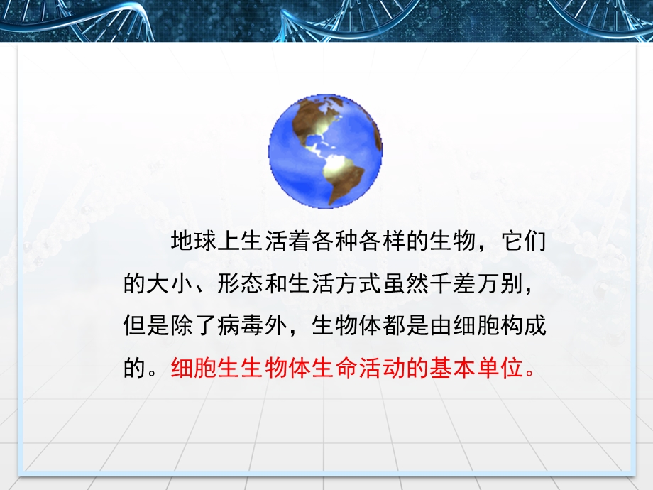 生命活动的基本单位——细胞-苏教版课件.ppt_第3页