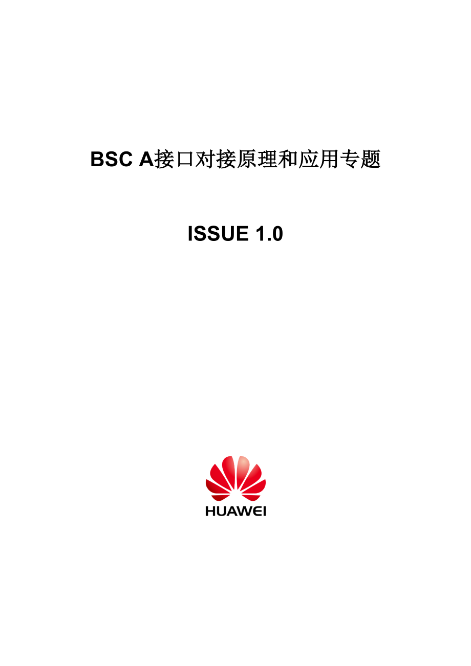 BSC A接口对接原理和应用专题.doc_第1页