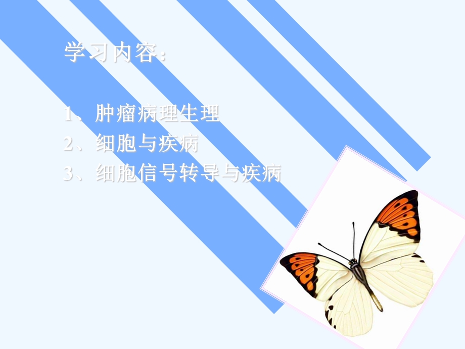 肿瘤病理生理幻灯课件.ppt_第2页