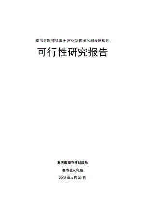 奉节县吐祥镇禹王宫小型农田水利设施规划可行性研究报告.doc