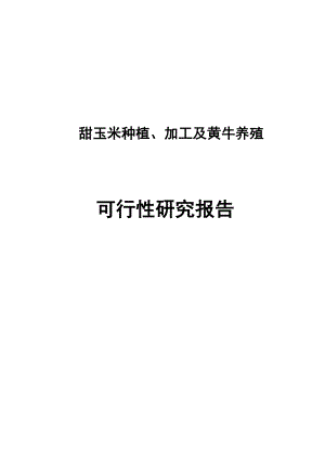 甜玉米种植、加工及黄牛养殖可行性研究报告.doc