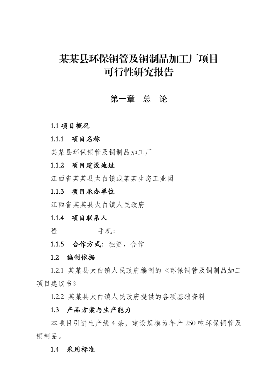 可研报告某某县环保铜管及铜制品加工厂项目.doc_第1页