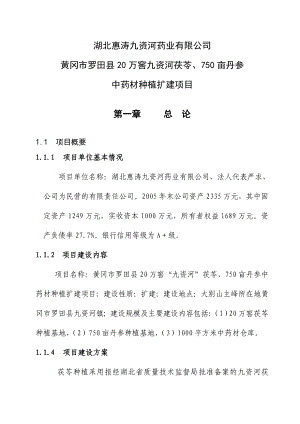 国家农业综合开发药材基地建设项目可行性研究报告.doc