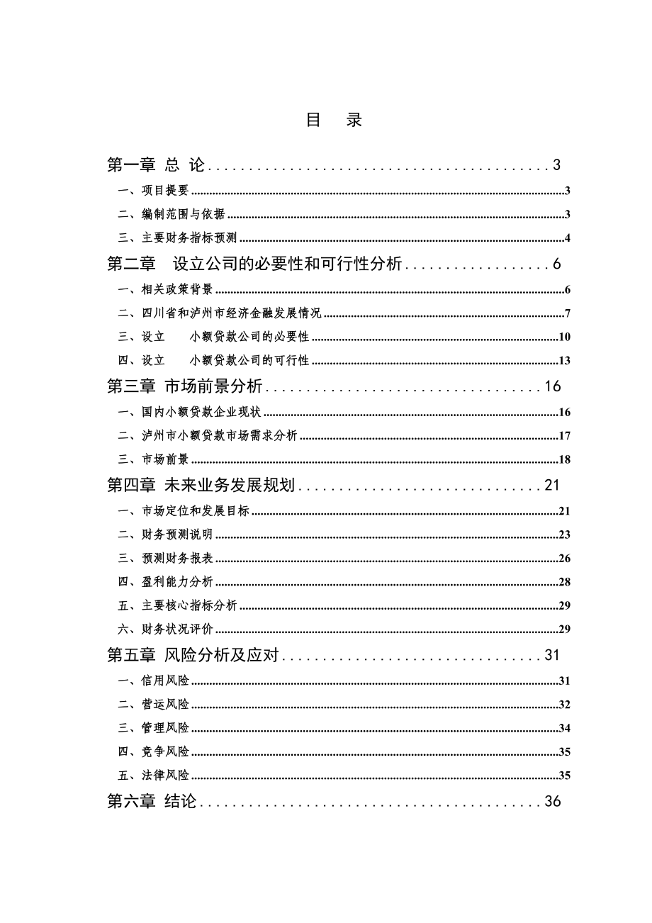 关于成立泸州市 XX 小额贷款公司的可行性报告.doc_第2页