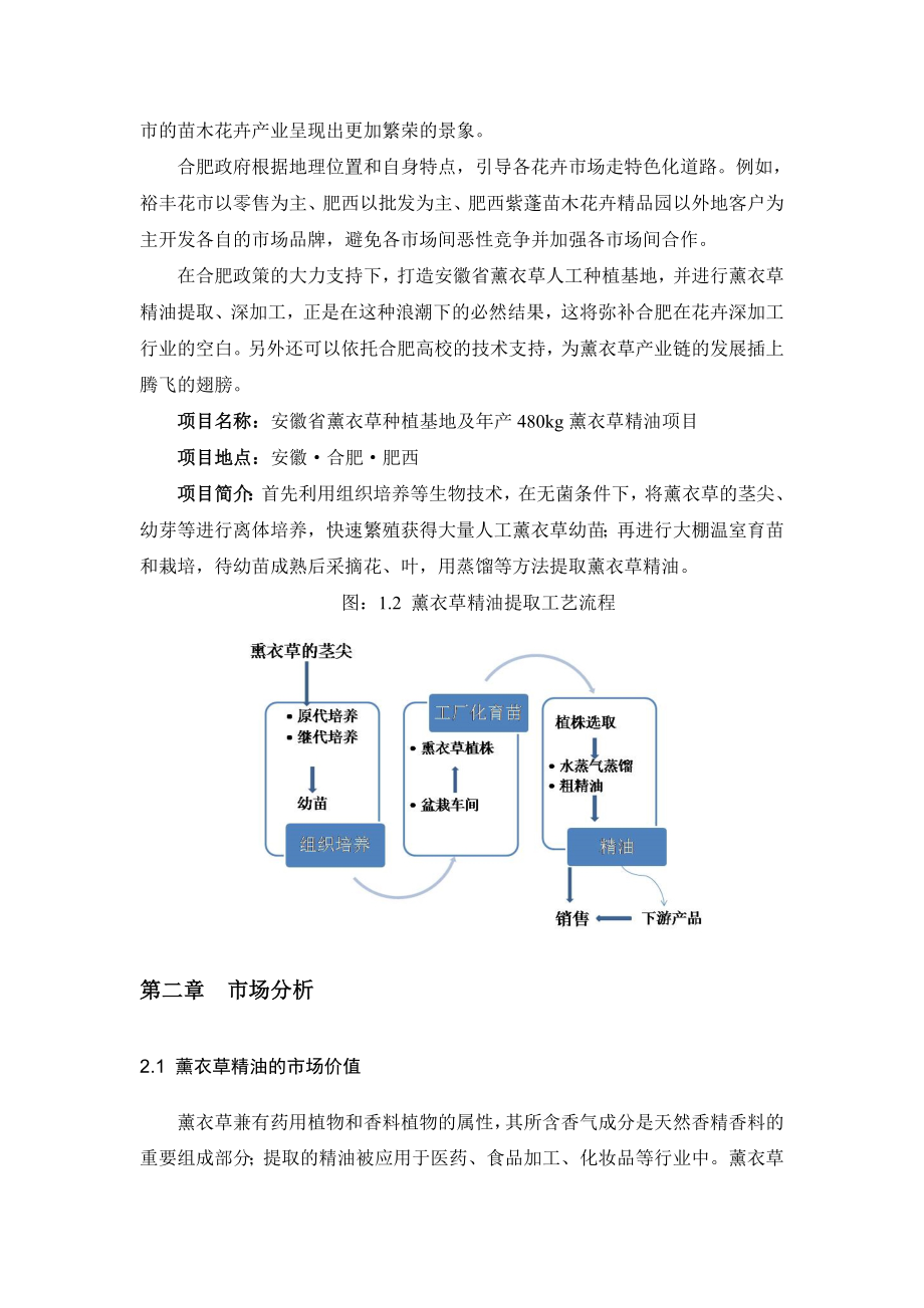 安徽省薰衣草人工种植、加工基地项目可行性分析报告.doc_第3页