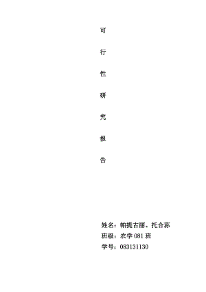 Patigul可行性研究报告.doc