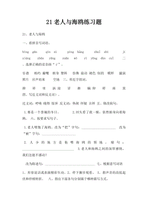 21老人与海鸥练习题.docx