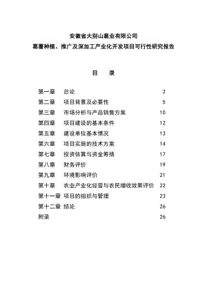 葛薯种植、推广及深加工综合开发项目可行性研究报告.doc