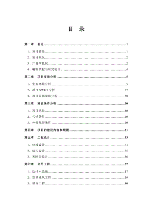 XX广场项目可行性研究报告.doc