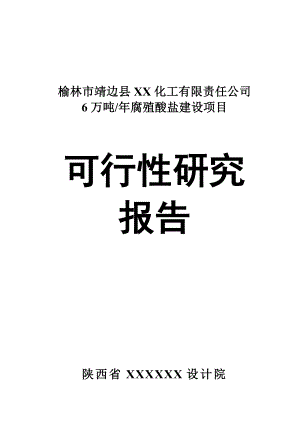 产6万吨腐植酸盐建设项目可行性研究报告(DOCP94).doc