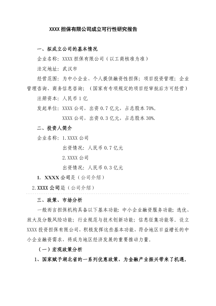 XXX担保公司可行性报告.doc_第1页