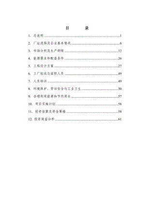 某公司大型发电设备制造基地扩建改造项目可行性研究报告.doc